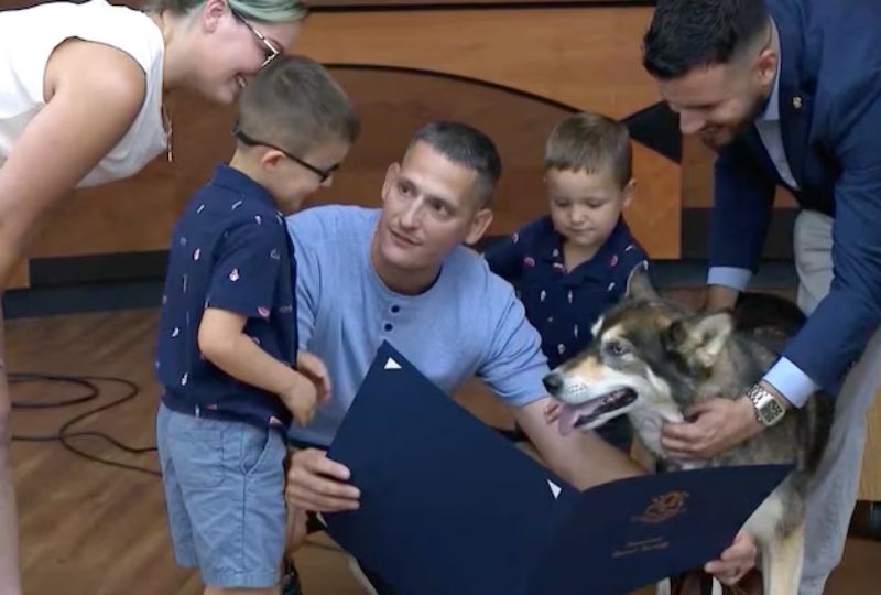 Husky rewarded for protecting boy from bear
